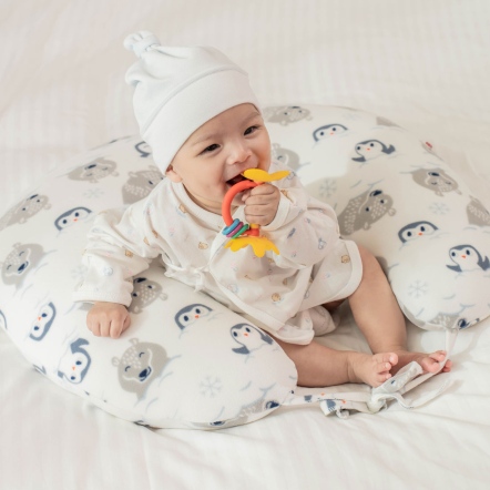 哺乳三用U型枕，超纖細款╱雪地